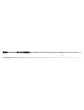 Spiningas Cinnetic Raycast XBR Sea Bass 300cm 15-50g